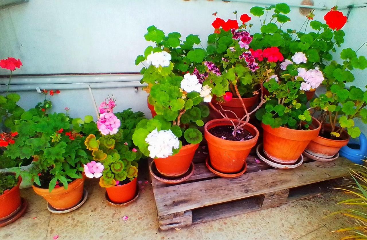 Hostal Pension Mar De Plata Lugo Esterno foto